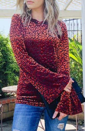 Carsyn Leopard Velvet Top